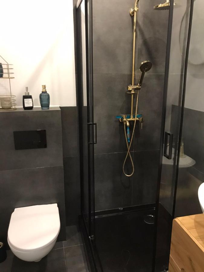 Stylowy Apartament W Centrum ヴロツワフ エクステリア 写真